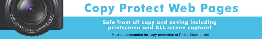 Copy protect web pages, flash and video