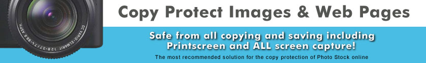 Copy protect web pages and online images from all copy and save
