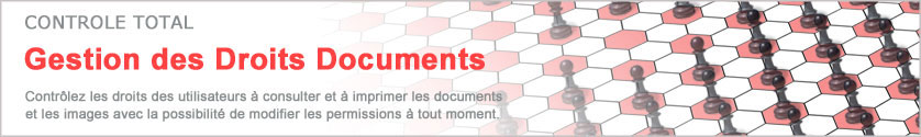 Gestion des Droits Num�riques (DRM)