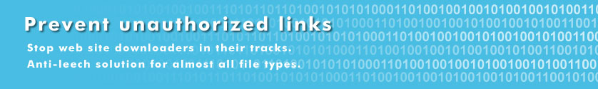 Protect web pages from direct access