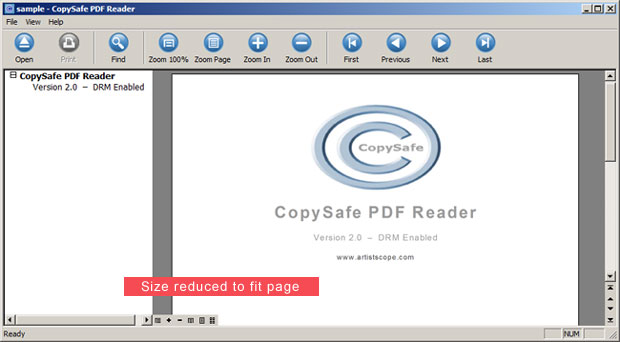 CopySafe PDF Reader screenshot